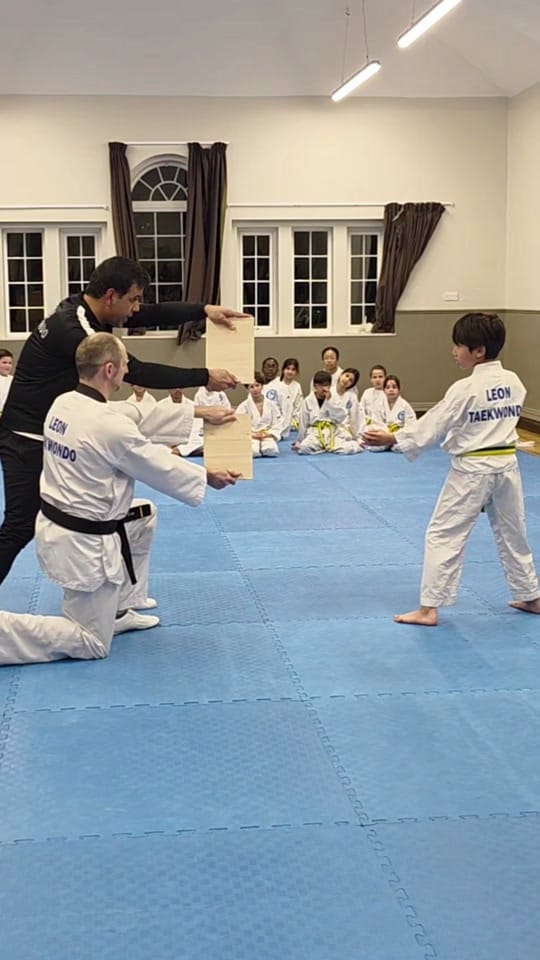 Post 8 by Leon Taekwondo Academy on TikTok (video)
