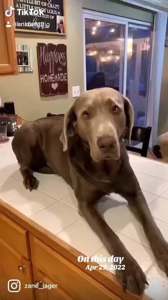 Post 5 by 💫Kristie Fettig💫 💋❤️‍🔥❌ on TikTok (video)
