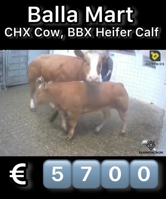 Post 6 by Essential Agri on TikTok (video)