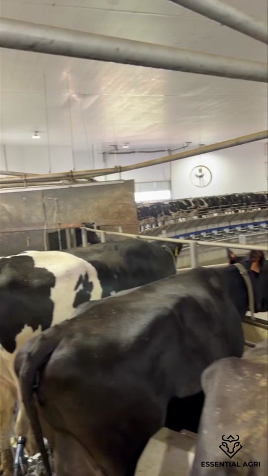 Post 5 by Essential Agri on TikTok (video)