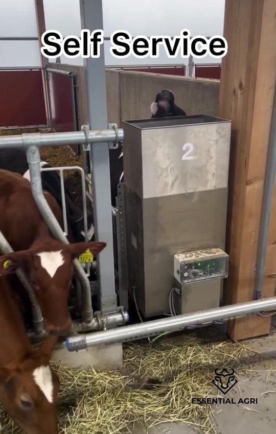 Post 9 by Essential Agri on TikTok (video)