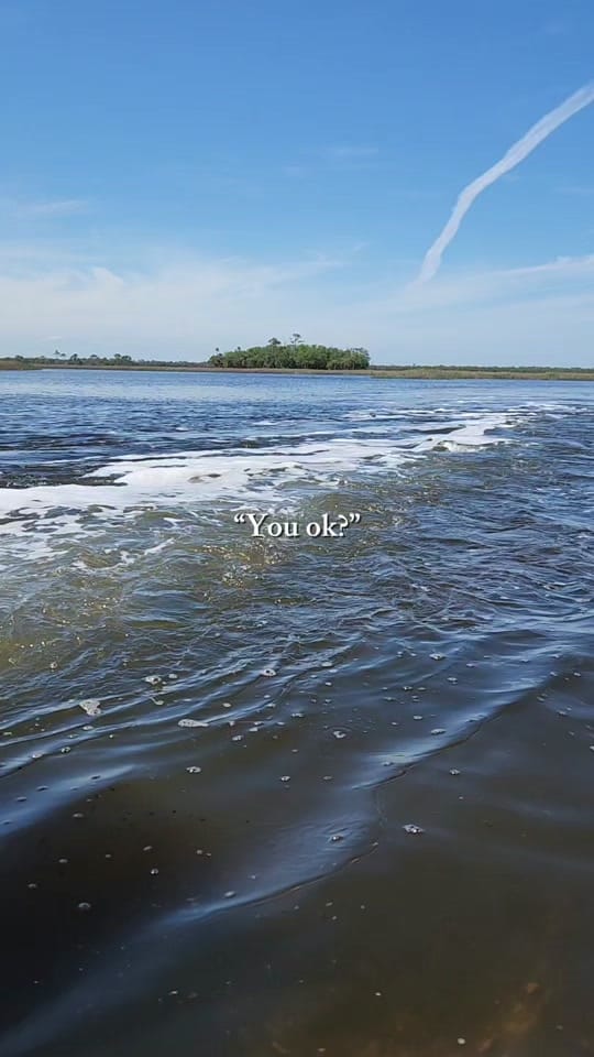 Post 6 by ✨️SheWhoShinesOn✨️ on TikTok (video)