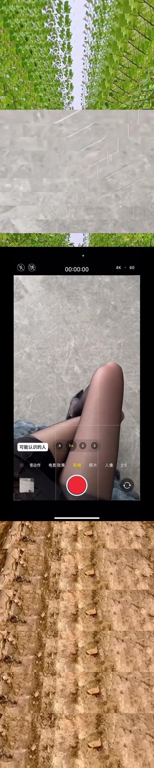 Post 5 by Eulalia9524 on TikTok (video)