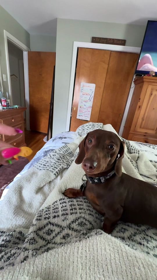 Post 2 by Jenn on TikTok (video)