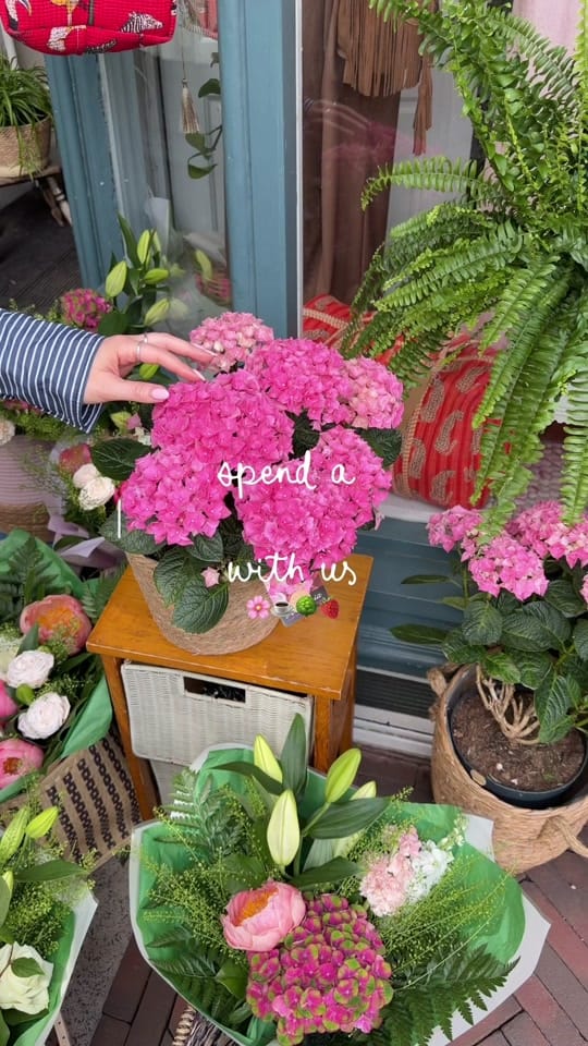 Post 1 by charley maisie on TikTok (video)