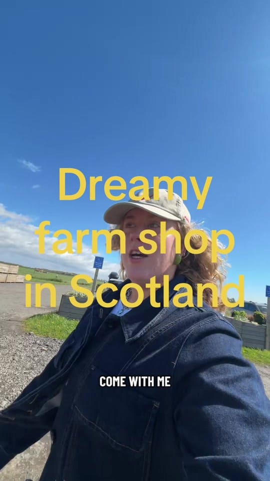 Post 6 by sandweegies on TikTok (video)