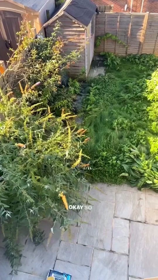 Post 9 by Martha on TikTok (video)