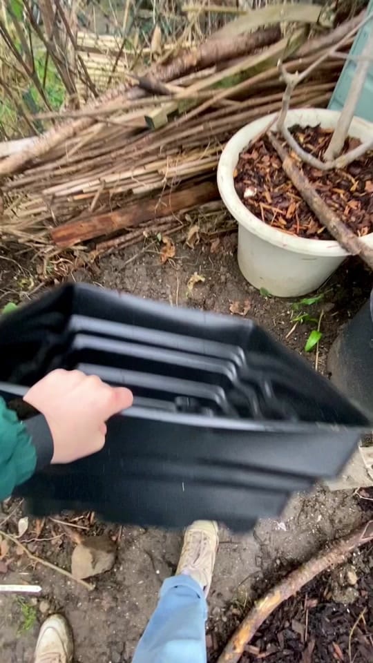 Post 10 by Martha on TikTok (video)