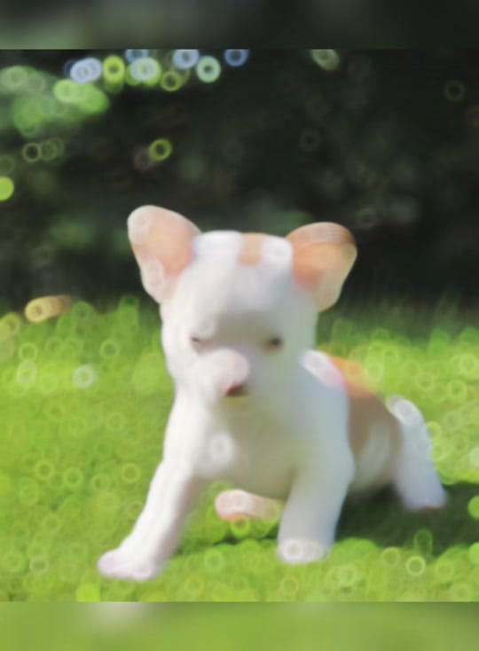 Post 1 by Mystyle_puppies on TikTok (video)