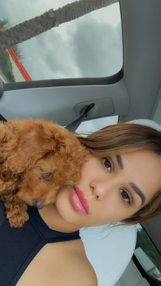 Post 3 by Mystyle_puppies on TikTok (video)