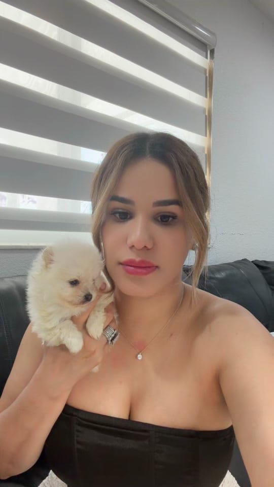 Post 2 by Mystyle_puppies on TikTok (video)