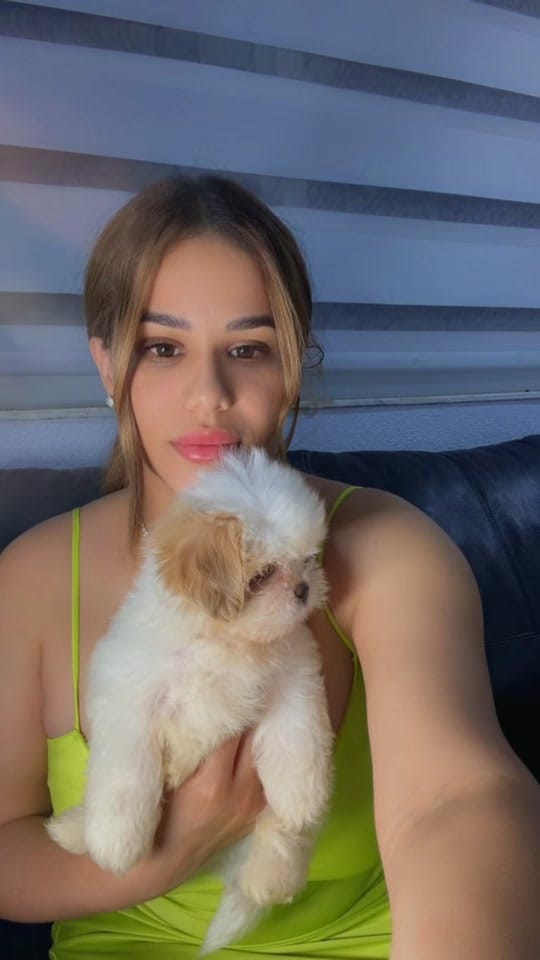 Post 4 by Mystyle_puppies on TikTok (video)