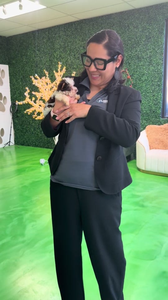 Post 9 by Mystyle_puppies on TikTok (video)