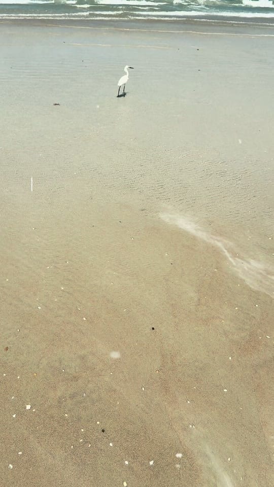 Post 2 by Brooke | Life Insurance on TikTok (video)