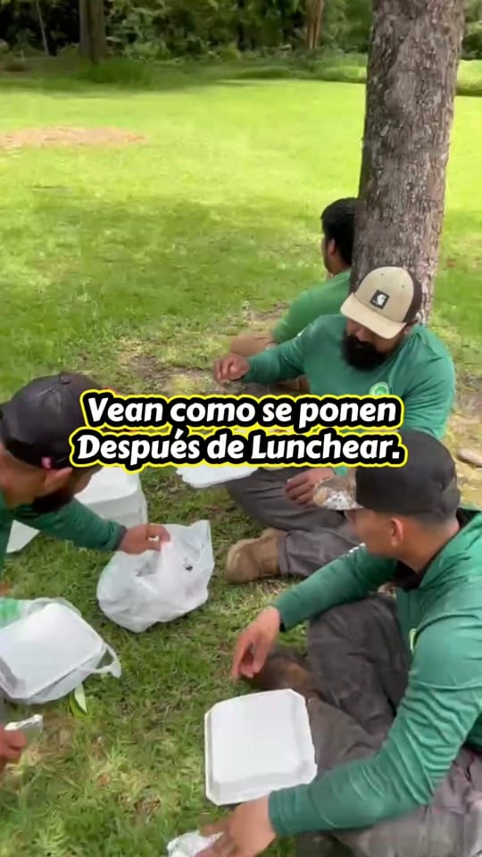 Post 8 by Jireh Tree Services on TikTok (video)