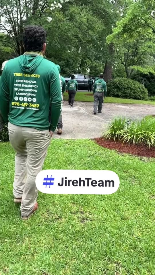 Post 10 by Jireh Tree Services on TikTok (video)