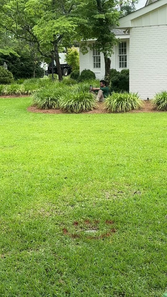 Post 7 by Jireh Tree Services on TikTok (video)