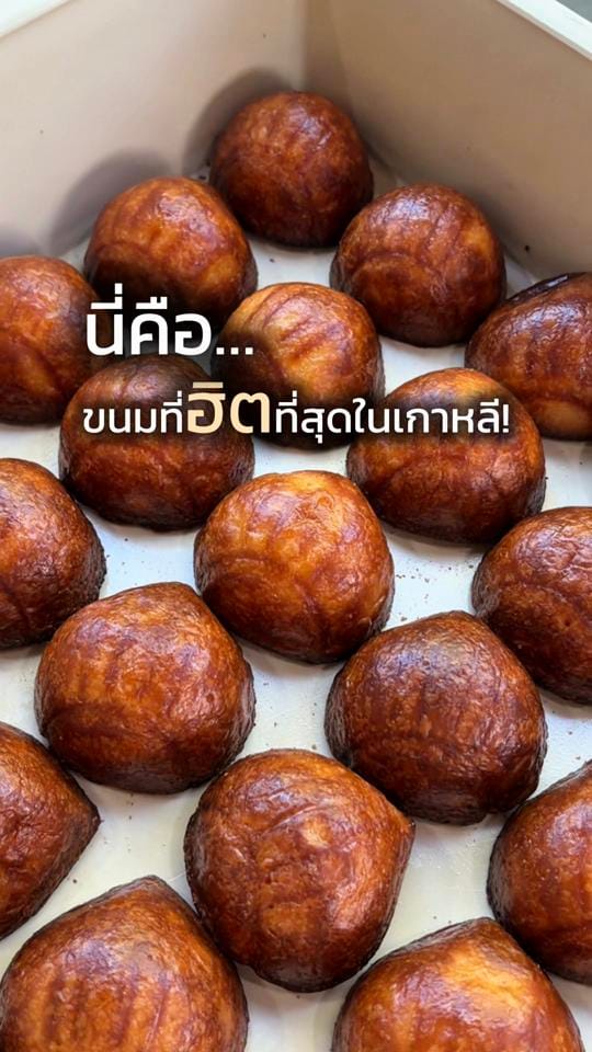 Post 8 by poliipoly on TikTok (video)