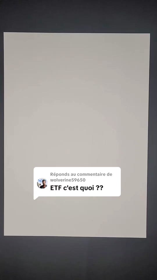 Post 5 by L'investitude on TikTok (video)