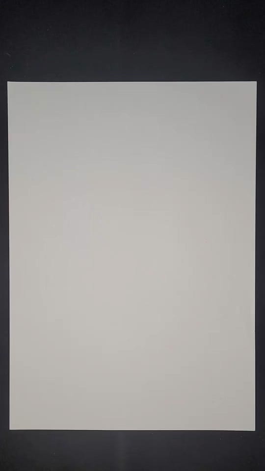 Post 6 by L'investitude on TikTok (video)