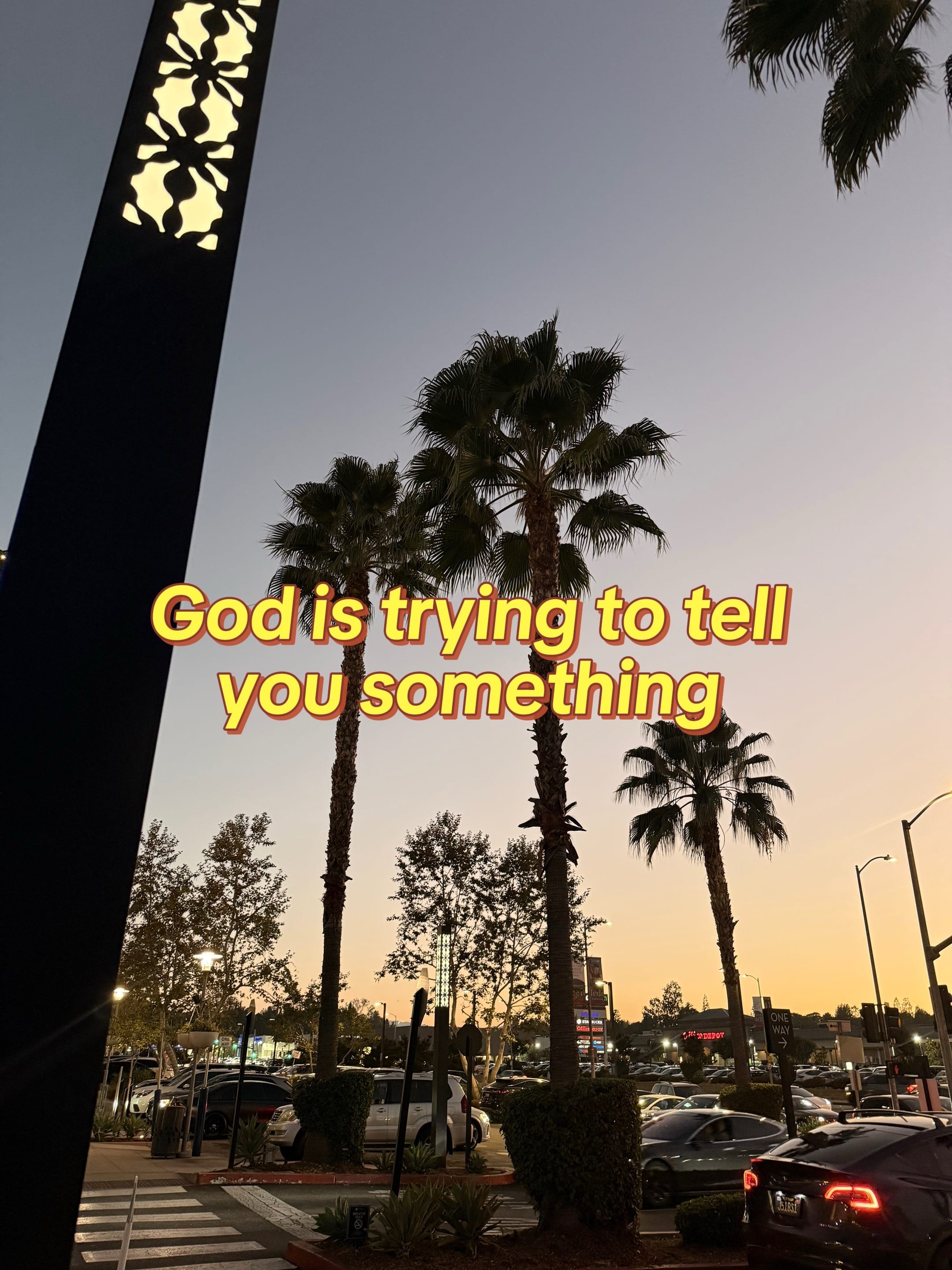 Post 8 by DanaTaughtYouu on TikTok (video)