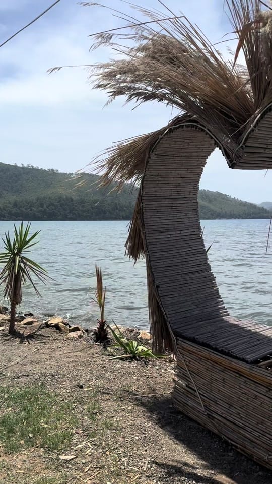 Post 1 by Shapar on TikTok (video)