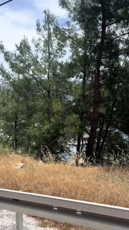 Post 5 by Shapar on TikTok (video)