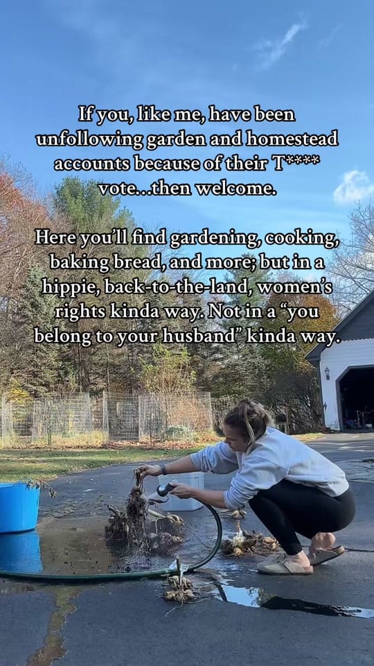 Post 9 by Amy | Front Yard Veggies on TikTok (video)