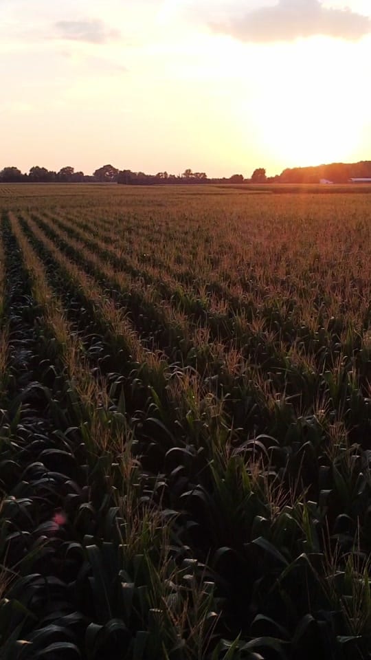 Post 9 by Sam Riegsecker on TikTok (video)