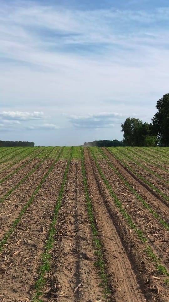 Post 1 by Sam Riegsecker on TikTok (video)