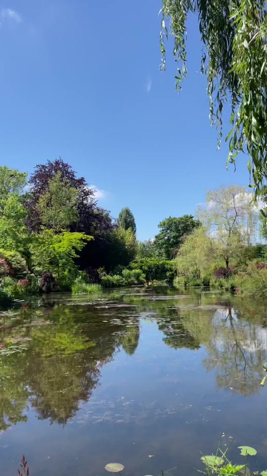 Post 10 by hannah dipilato on TikTok (video)