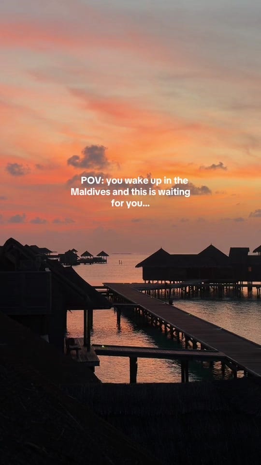 Post 4 by Louis Cannell on TikTok (video)