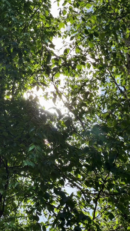 Post 6 by Louis Cannell on TikTok (video)