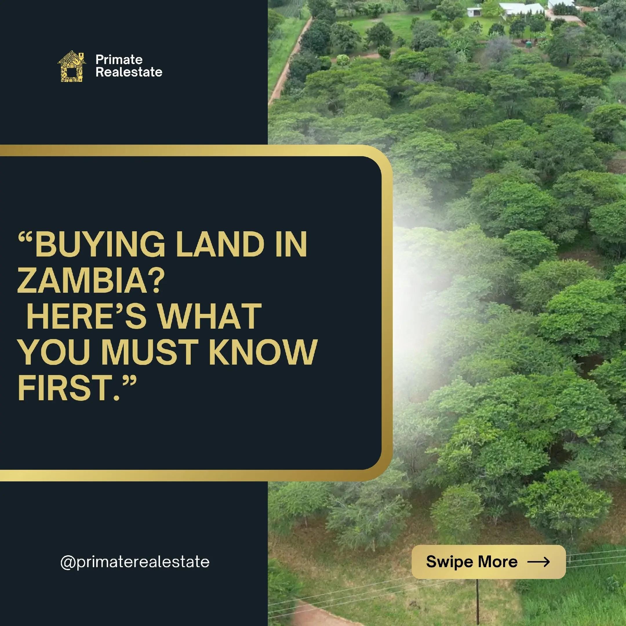 Post 10 by primate realestate on TikTok (video)