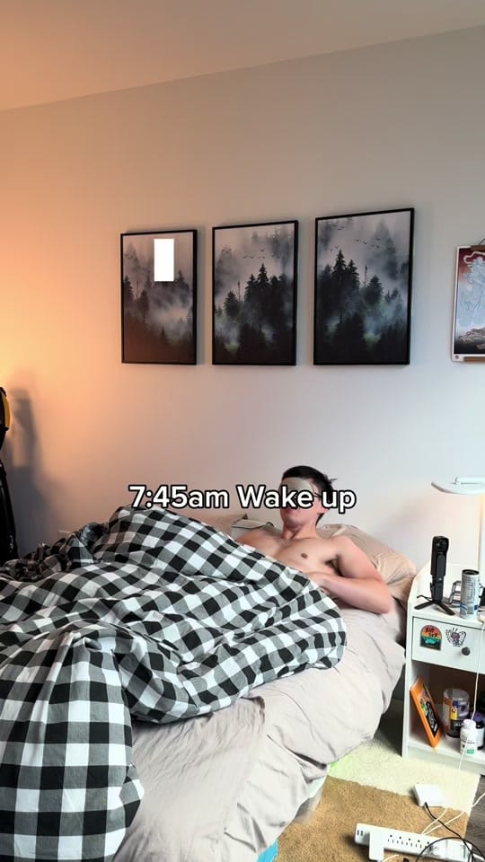 Post 8 by William Webster on TikTok (video)