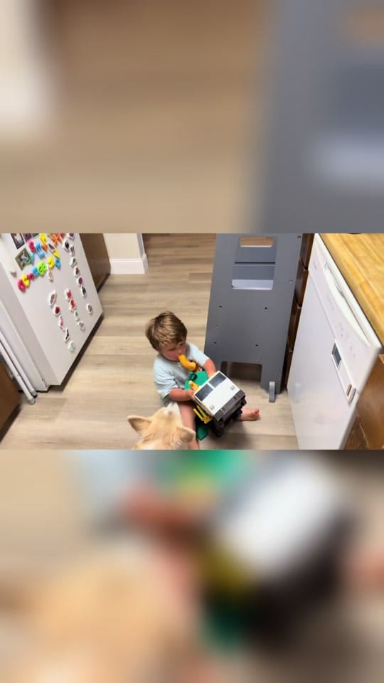Post 1 by Sarah Bee🐝✨🌙 on TikTok (video)