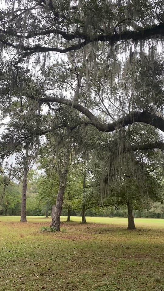 Post 9 by Becky Cummings on TikTok (video)