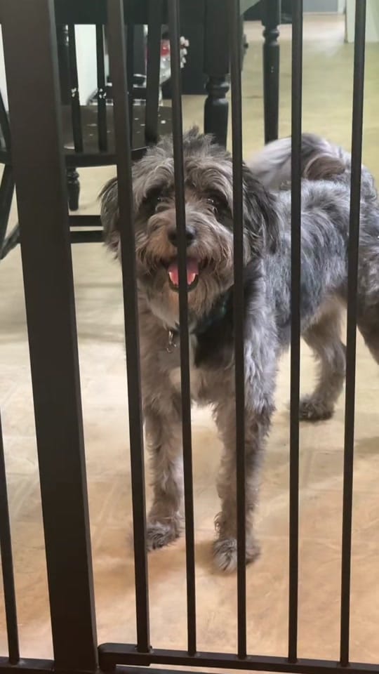 Post 2 by Andrea Estep on TikTok (video)