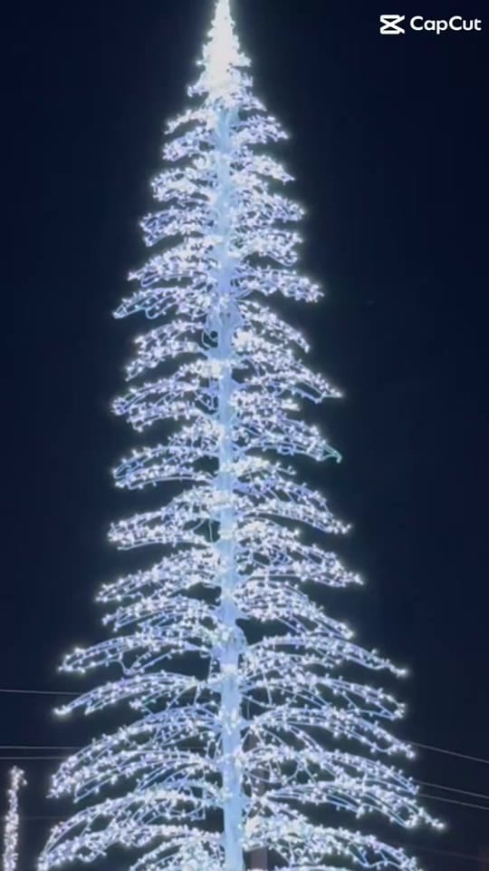 Post 10 by Deanna 😁 on TikTok (video)
