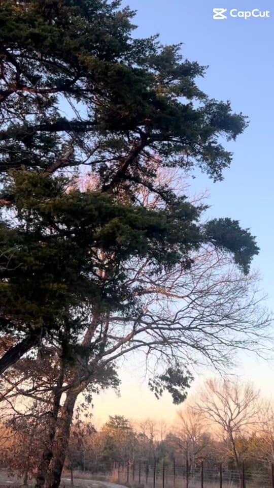 Post 1 by Deanna 😁 on TikTok (video)
