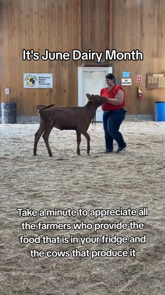 Post 2 by Amber Bunnell on TikTok (video)
