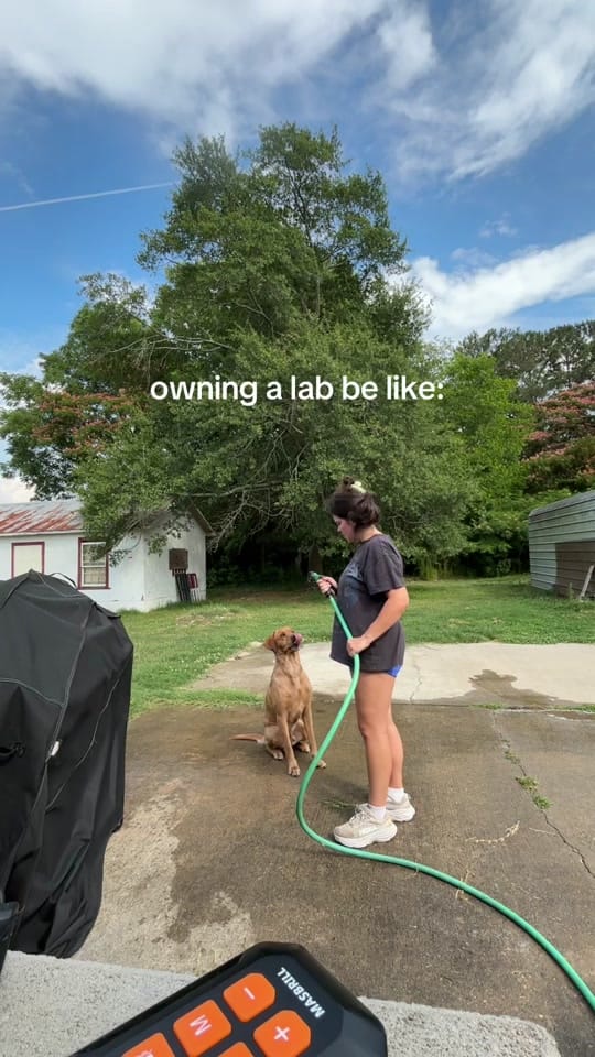 Post 6 by LIV🤍 on TikTok (video)