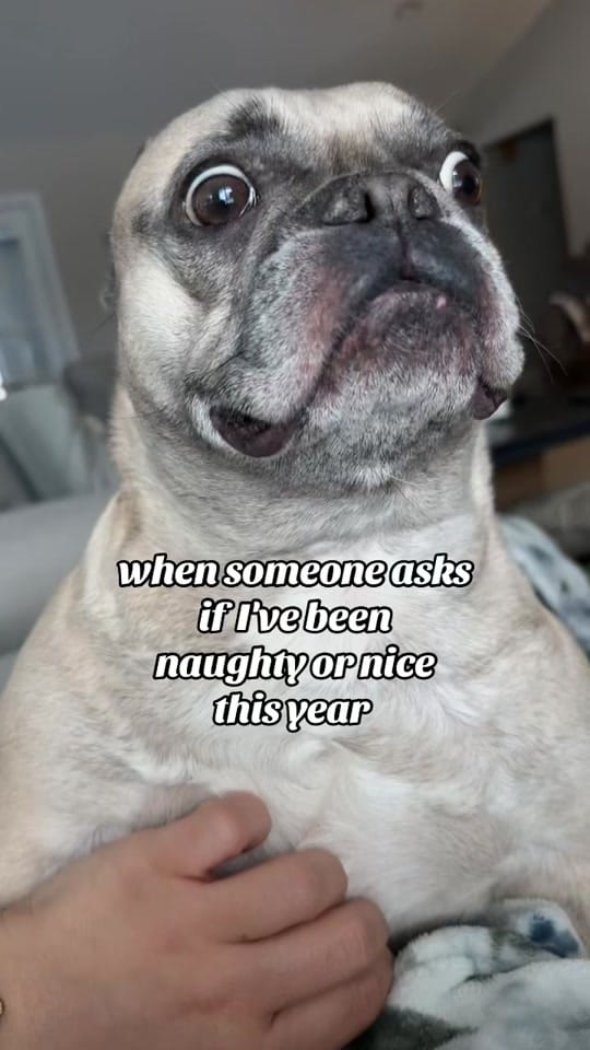 Post 7 by victorialyn on TikTok (video)