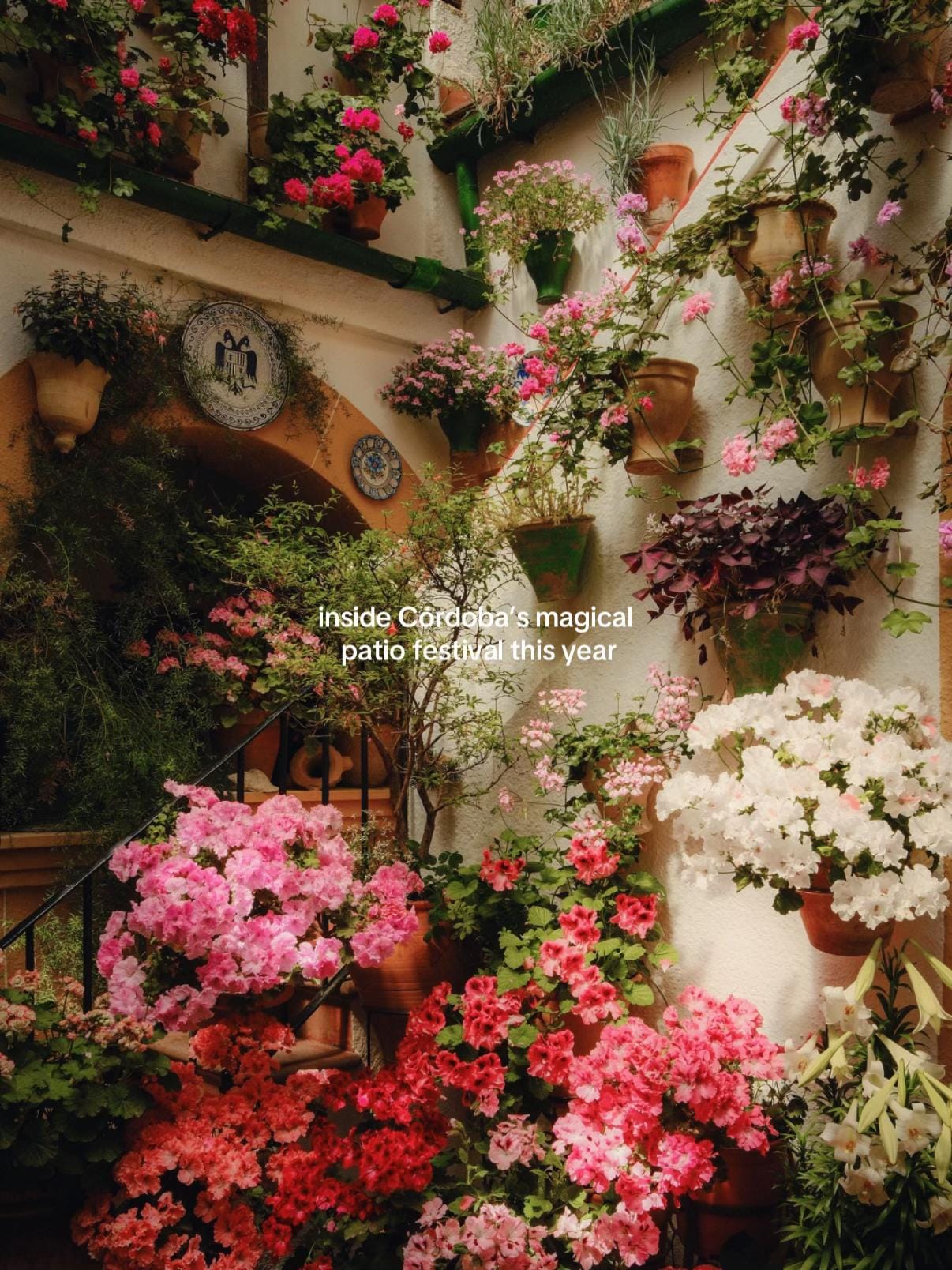 Post 9 by Jess | Travel & London Life on TikTok (video)