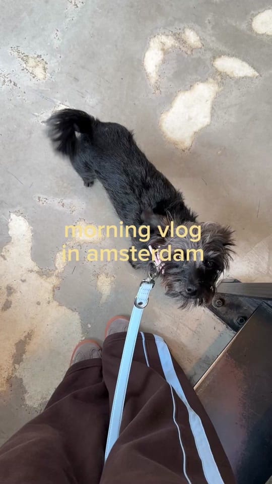 Post 3 by livandremmy on TikTok (video)