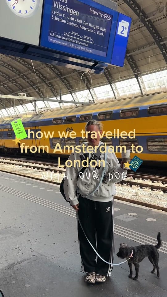 Post 1 by livandremmy on TikTok (video)