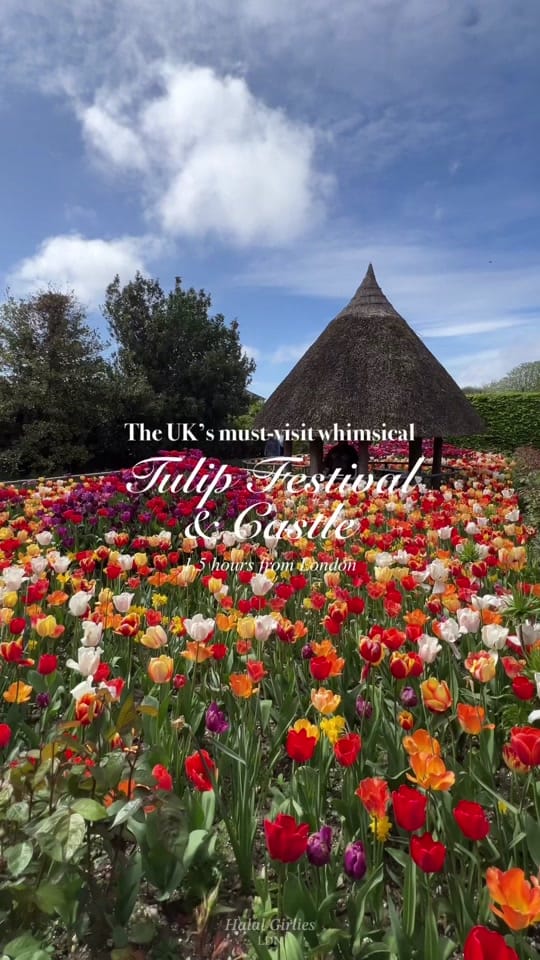 Post 7 by Halal Girlies LDN on TikTok (video)
