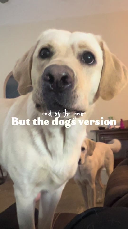 Post 2 by Lauren Marie on TikTok (video)