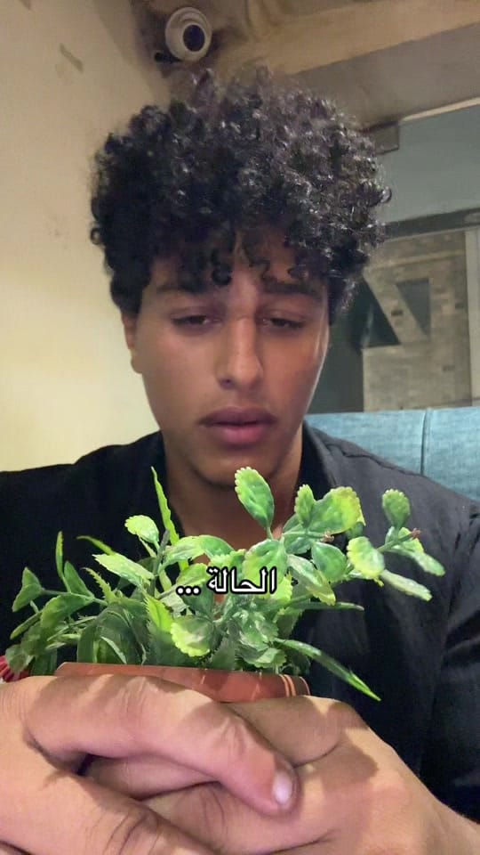 Post 3 by Zeyad Ahmed on TikTok (video)