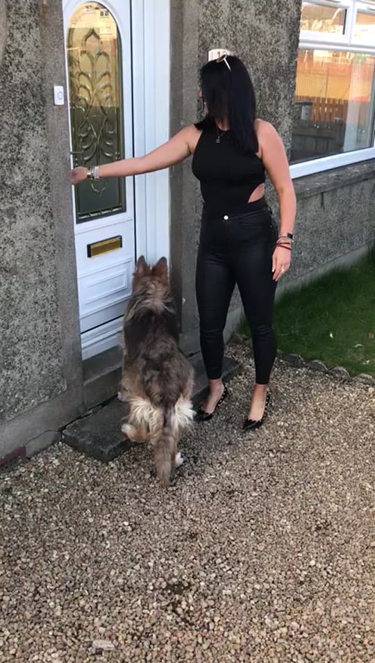 Post 9 by Adele ✨ FTM & puppy antics ✨ on TikTok (video)